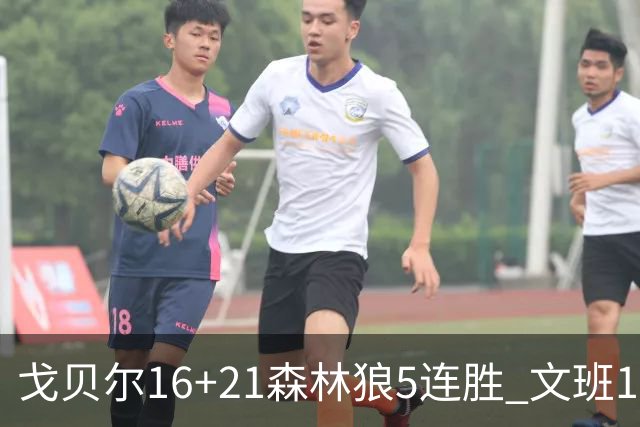 戈贝尔16+21森林狼5连胜 文班12+10马刺15连败